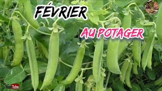 fin février au potager [upl. by Akeret]