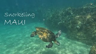 Snorkeling Maui [upl. by Lief]