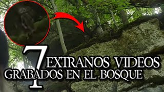 7 EXTRAÑOS VÍDEOS GRABADOS EN EL BOSQUE por EL JULIO LÓPEZ [upl. by Drahsir]