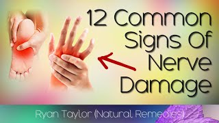 12 Signs Of Nerve Damage Neuropathy [upl. by Auqinat]