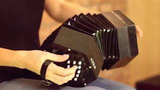 The Wren 2 Concertina [upl. by Etteraj]