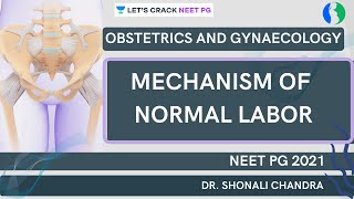 Mechanism of Normal Labor  NEET PG 2021  Dr Shonali Chandra [upl. by Ernst218]