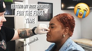 Piercing my nose for the first time [upl. by Esilahc]