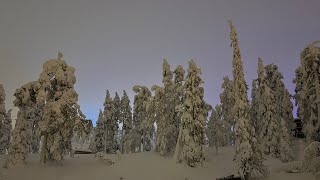 Strolling up the slope of Ruka Ski Resort Finland [upl. by Nylyram]