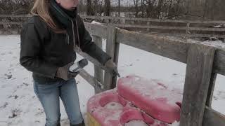 Horse Barn and Equestrian Hacks  Automatic Waterers for Horses [upl. by Nylrats]