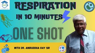 RESPIRATION IN 10 MINUTES  ONE SHOT  rvf biology [upl. by Initof]