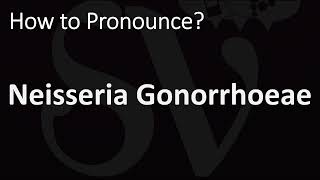 How to Pronounce Neisseria Gonorrhoeae CORRECTLY [upl. by Salamanca843]