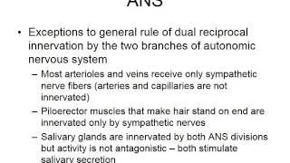 Spring 2017 07 Peripheral Nervous System Efferent Division [upl. by Annoet357]