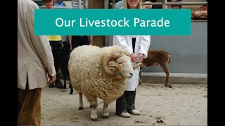 Livestock Parade at Woolfest Online 2021 [upl. by Aihsi]