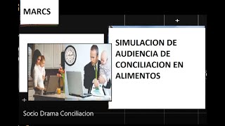 24 SIMULACION DE AUDIENCIA DE CONCILIACION VIRTUAL 2 EN ALIMENTOS [upl. by Latnahc]