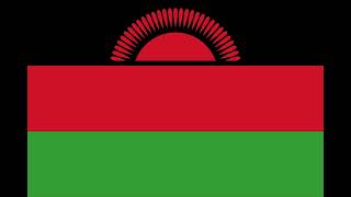 Malawian National Anthem  Oh God Bless Our Land Of Malawi  Mulungu dalitsa Malawi [upl. by Enaej]