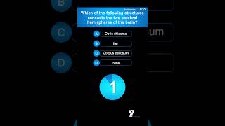 Which of the following structures connects the two cerebral hemispheres of the brain [upl. by Anay]