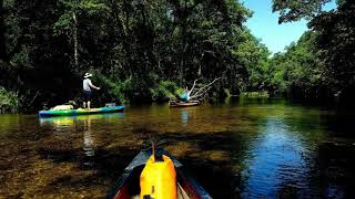 Summer 2018 Current River Canoe Trip [upl. by Gitt]