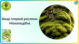 Вищі спорові рослини Мохоподібні [upl. by Quenby375]