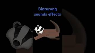 Binturong sounds effects [upl. by Rai746]