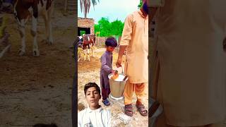 Masoom bachy na aisa q kia trending emotional viralvideo [upl. by Richella]