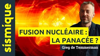 Fusion nucléaire  la panacée  – Greg de Temmerman [upl. by Milks]