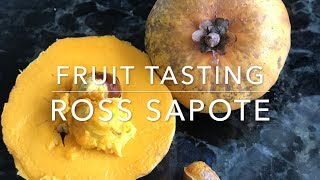 Ross Sapote grown in Sarasota Florida  Tropical Fruit Tasting [upl. by Amron]