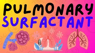 The Respiratory System Pulmonary Surfactant [upl. by Ttehr]