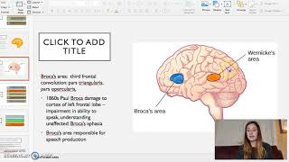 Foundations of Neurolinguistics [upl. by Sinaj]