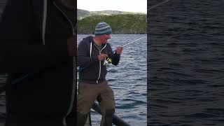 Was ist das denn😱⁉️ Ungewöhnlicher Fang beim Angeln in Norwegen angeln norwegen fishing [upl. by Breger167]