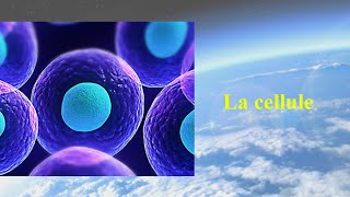 La cellule [upl. by Athelstan]