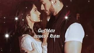 Guli Mata Slowed  Reverb  Saad Lamjarred Shreya Ghoshal  gulimata slowedandreverb [upl. by Ronym]