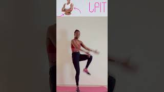 Express  Renforcement des Bras amp du Core à la Maison  Express Workout Arm and Core Strengthening [upl. by Dnesnwot]