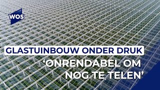 Glastuinbouw Nederland over nieuwe wet Onrendabel om nog groente of planten te telen [upl. by Abercromby]