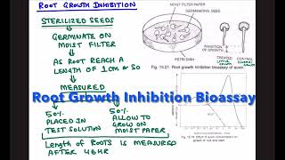 ROOT GROWTH INHIBITION BIOASSAY FOR AUXIN [upl. by Goodrich]