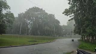 Torrential rain 🌧️ at BPKIHS Dharan College of Dental ASMR Rain Sound [upl. by Oikim]