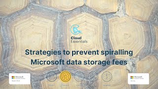 Strategies to prevent spiralling Microsoft data storage fees [upl. by Imeon597]