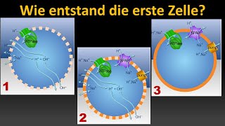 Wie entstand die erste Zelle Vorlesung Entstehung des Lebens Teil 12 [upl. by Ozneral]