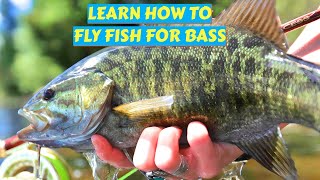 Getting Started in Bass Fly Fishing [upl. by Ciccia966]