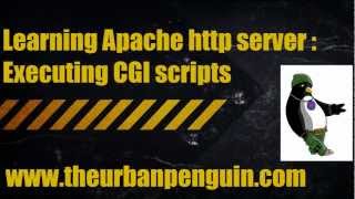 Learning Apache http server  Executing CGI scripts [upl. by Akeemahs]