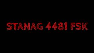 Analysis and decoding of a STANAG 4481 signal with FSK line coding [upl. by Hanauq897]