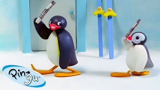 Pingu and Pinga Go on Adventures 🐧  Pingu  Official Channel  Cartoons For Kids [upl. by Graner]