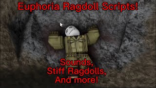 I made a Euphoria Ragdoll game in Roblox  War melons Ragdoll scripts [upl. by Aihcsrop317]