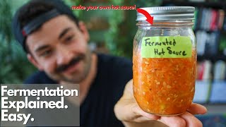 Fermenting Vegetables Explained EASY [upl. by Georges]