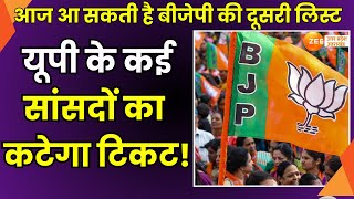 Bjp Candidate List BJP से सूत्रों के हवाले से बड़ी ख़बर आज आ सकती है बीजेपी की दूसरी लिस्ट [upl. by Ordnasela]