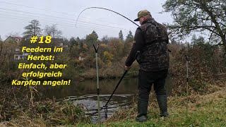 18 Feedern im Herbst einfach aber erfolgreich Karpfen angeln 🎣 [upl. by Ajan]