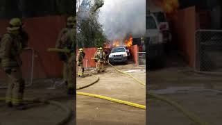 Man saves dog from fire [upl. by Yenduhc829]