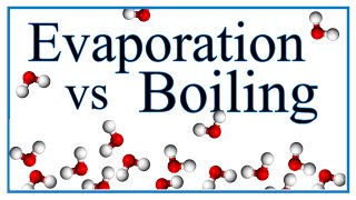 Boiling vs Evaporation Definition Examples amp Explanation [upl. by Anurb198]