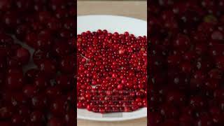 Health Benefits Of Lingonberry [upl. by Durtschi]