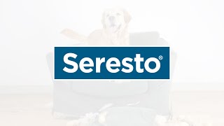 Vets Recommend Seresto® to Help Stop Sucking Situations for Your Pets 15s [upl. by Carree]