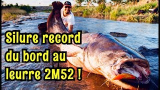 SILURE RECORD PERSO 2M52 [upl. by Ttsepmet327]