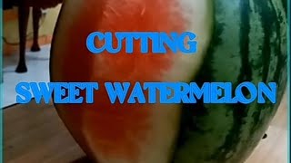 ASMR  Cutting Sweet Watermelon [upl. by Kariv]