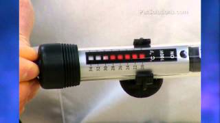 PetSolutions Aquatop Submersible Glass Heater [upl. by Varhol]