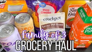 WALMART GROCERY HAUL 2024 [upl. by Akinod654]