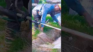 Turn a Thick Lawn Into a Clean Space GardenImprovement TidyLawn CleanGrass [upl. by Krum646]